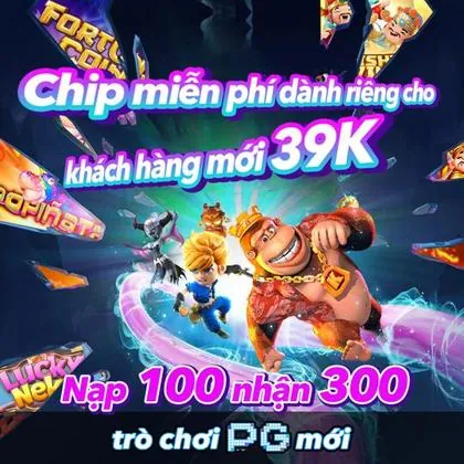 93D 93D